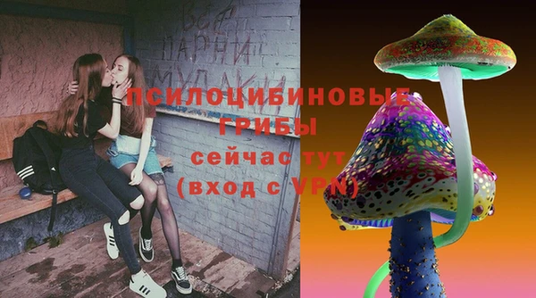 бошки Козловка