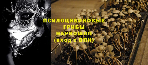 бошки Козловка