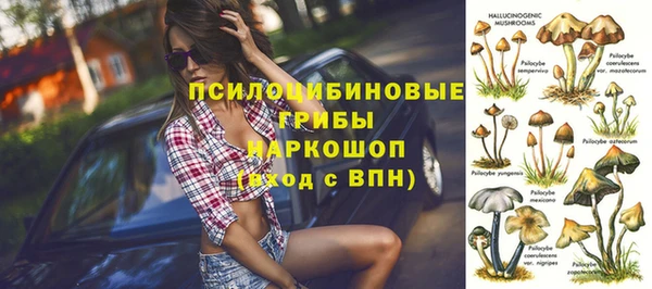 бошки Козловка